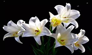 ���ʣ�һ������~