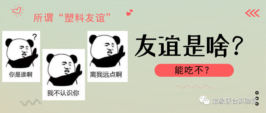 ���������ꡱһ�����飬�㻹����......