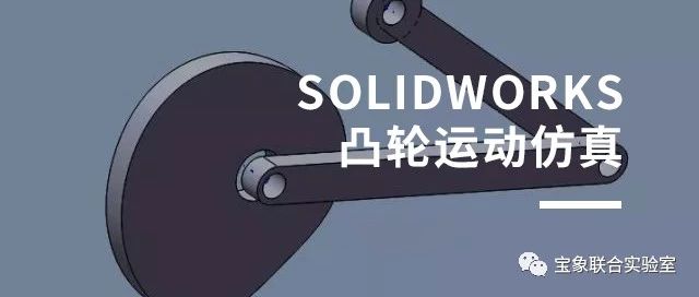 ���ɷ���حSOLIDWORKS͹���˶�����